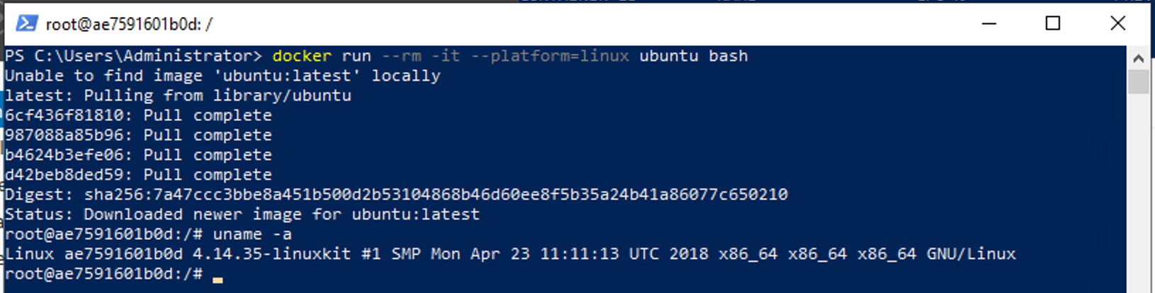 Ubuntu Container running on Windows Server 2019